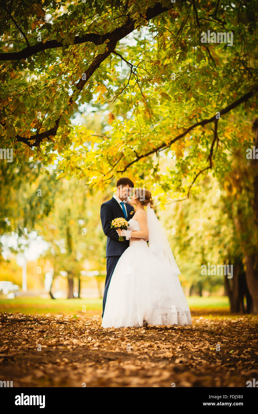 young bride and groom on the background of autumn landscape Stock Photo ...