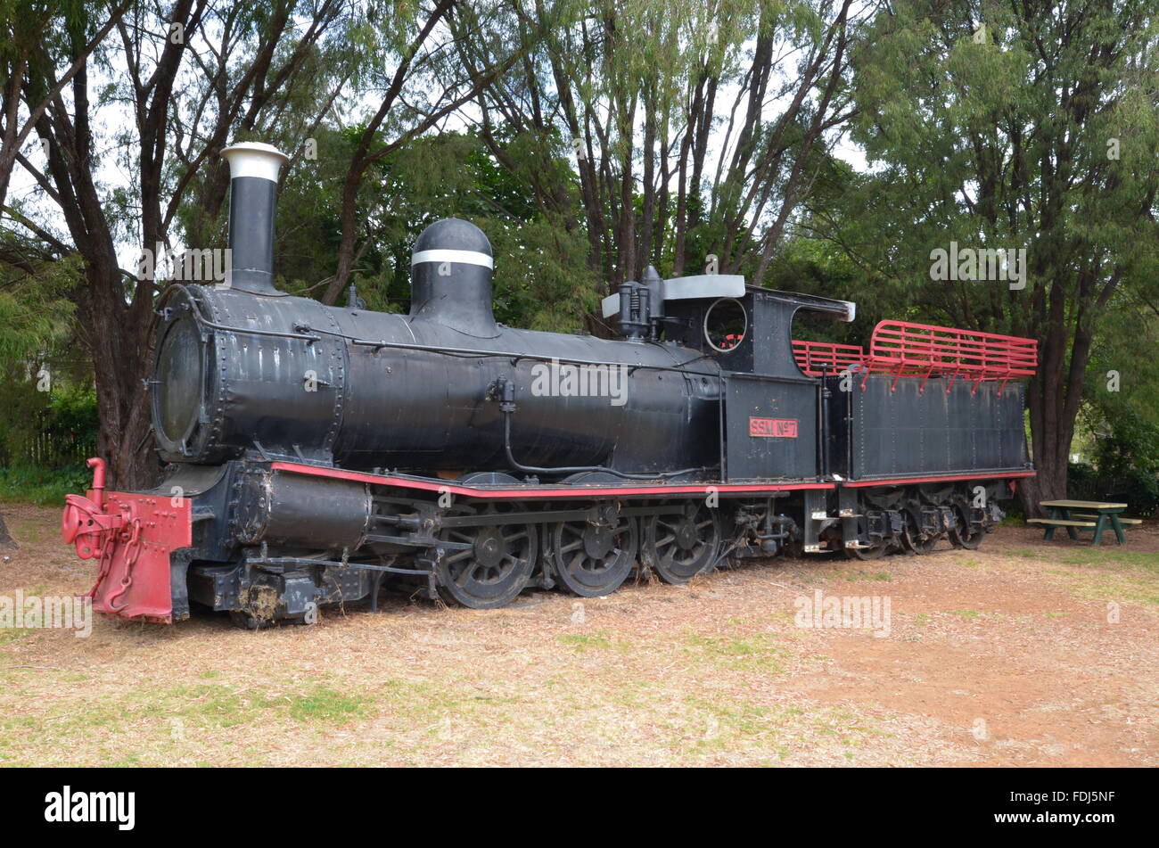 Steam from the old logging railways on display at Pemberton