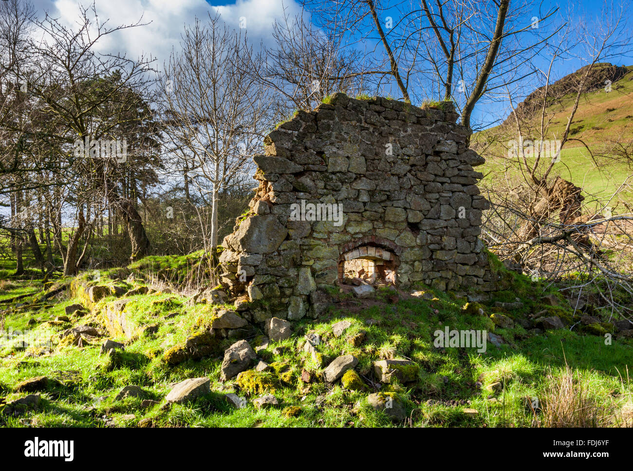 The derelict remains of Cwms Cottage, near Caer Caradoc, Church Stretton, Shropshire, England, UK Stock Photo
