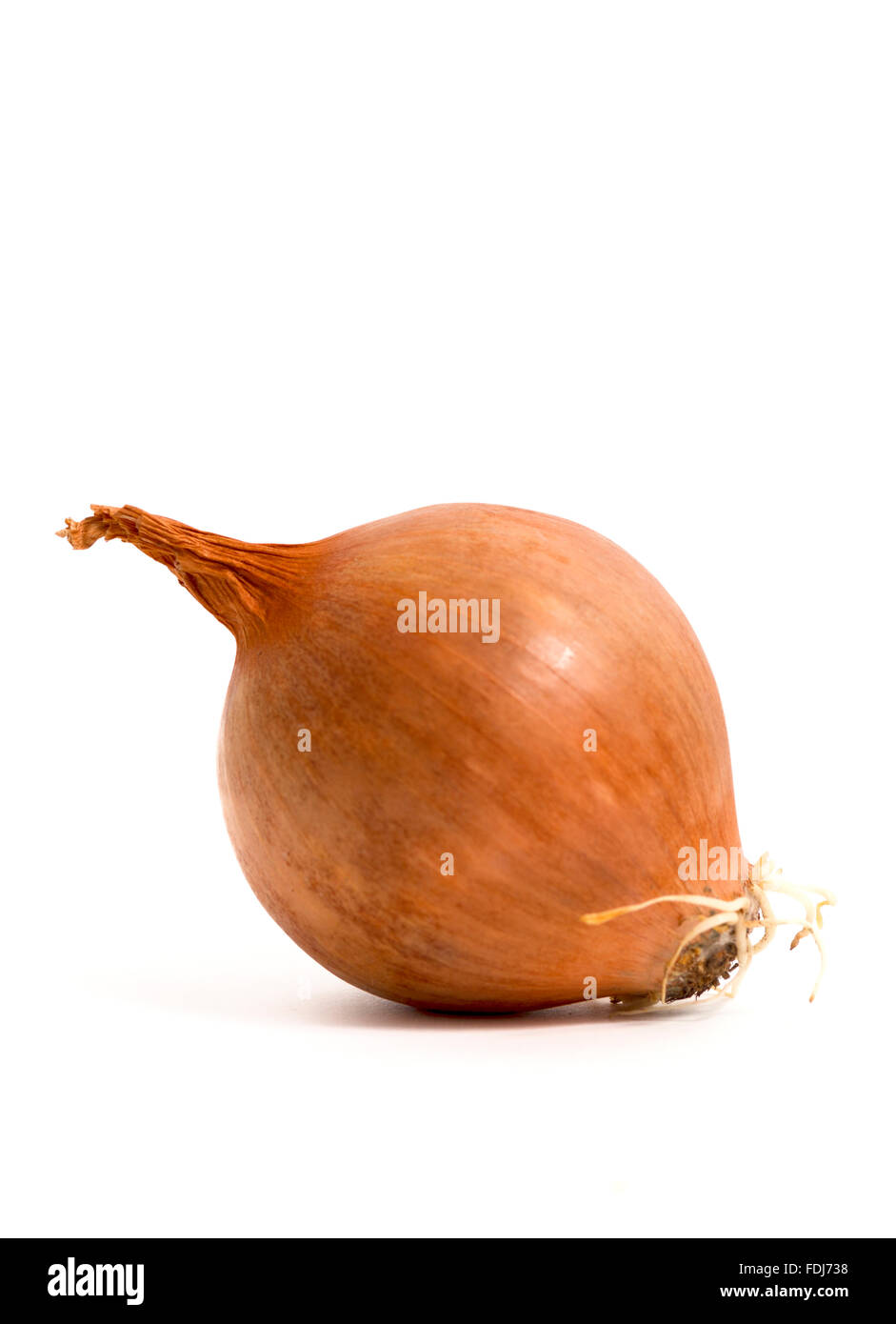 yellow onion isolated on white background Stock Photo Alamy