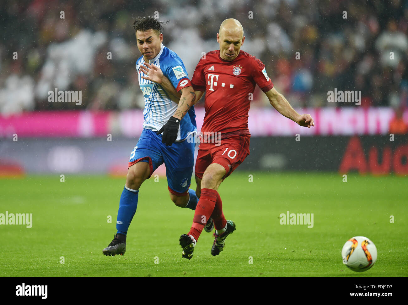 Munich, Germany. 31st Jan, 2016. Munich's Arjen Robben (R) vies for the ball with Hoffenheim's Eduardo Jésus Vargas during the German Bundesliga soccer match between Bayern Munich and 1899 Hoffenheim at the Allianz Arena in Munich, Germany, 31 January 2016. Photo: TOBIAS HASE/dpa/Alamy Live News Stock Photo