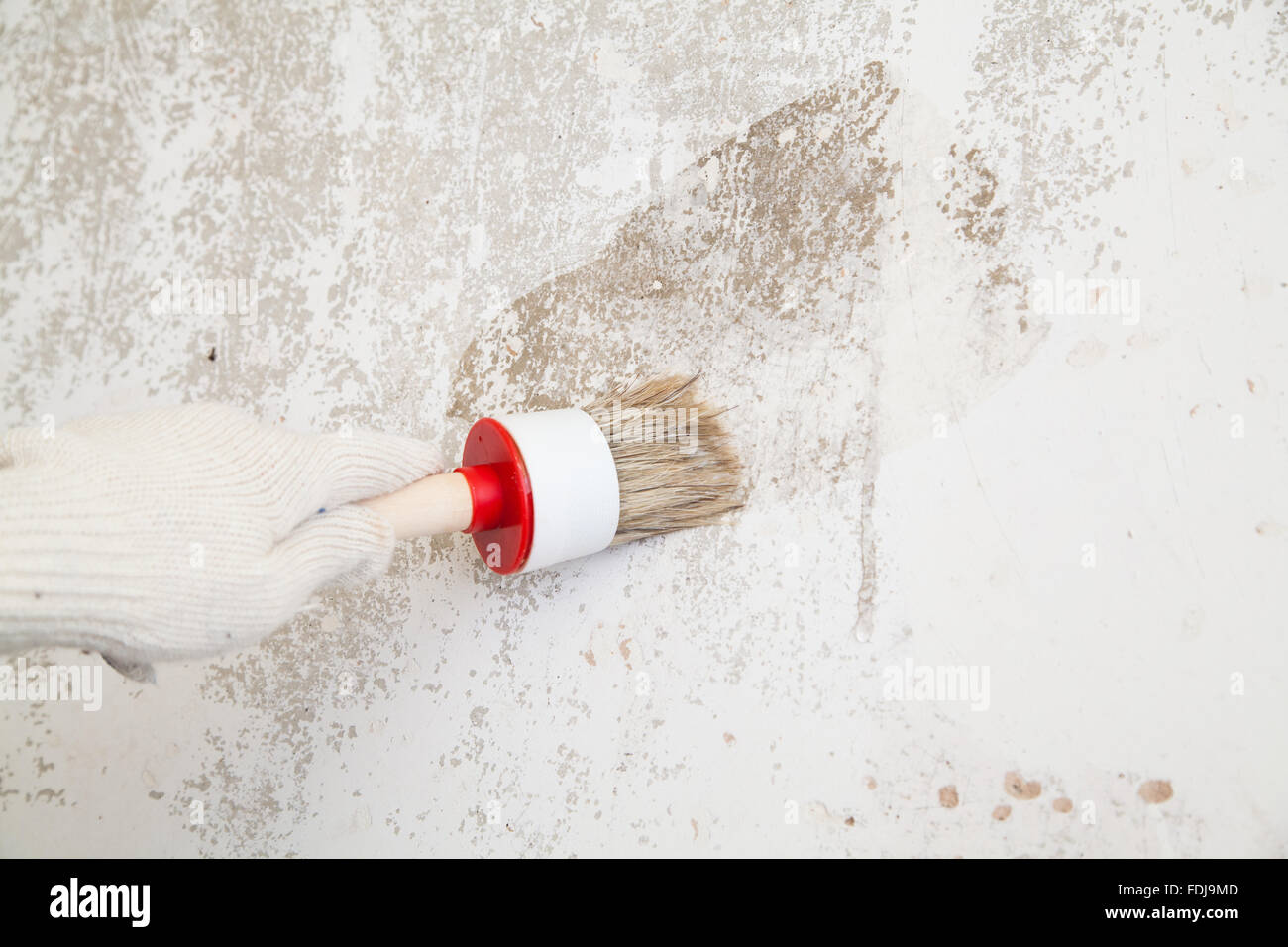 Brush in hand Stock Photo Alamy