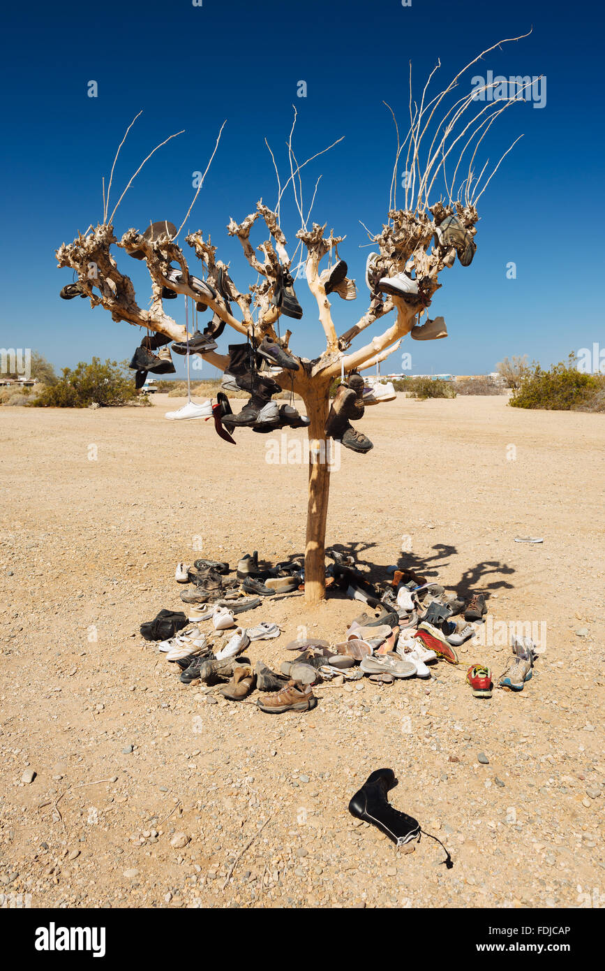 The Sole Tree in Slab City, California Stock Photo Alamy