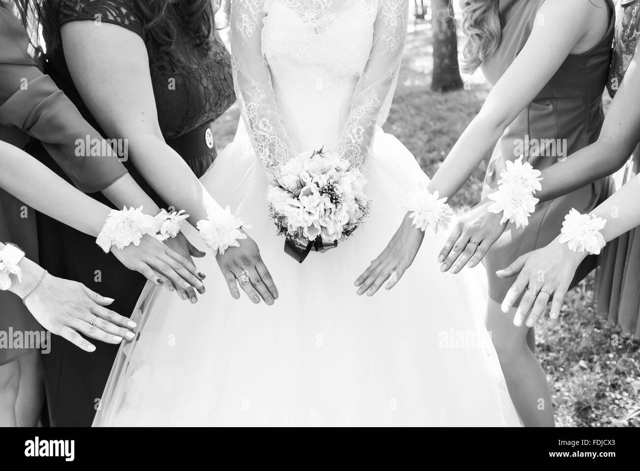 The bride and bridesmaids are showing beautiful flowers on their hands. Stock Photo