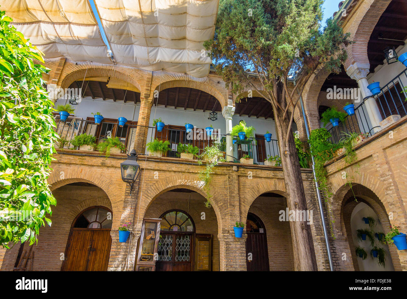 Typical French windows with grills and decorative flowers in the city of Cordoba, Spain Stock Photo