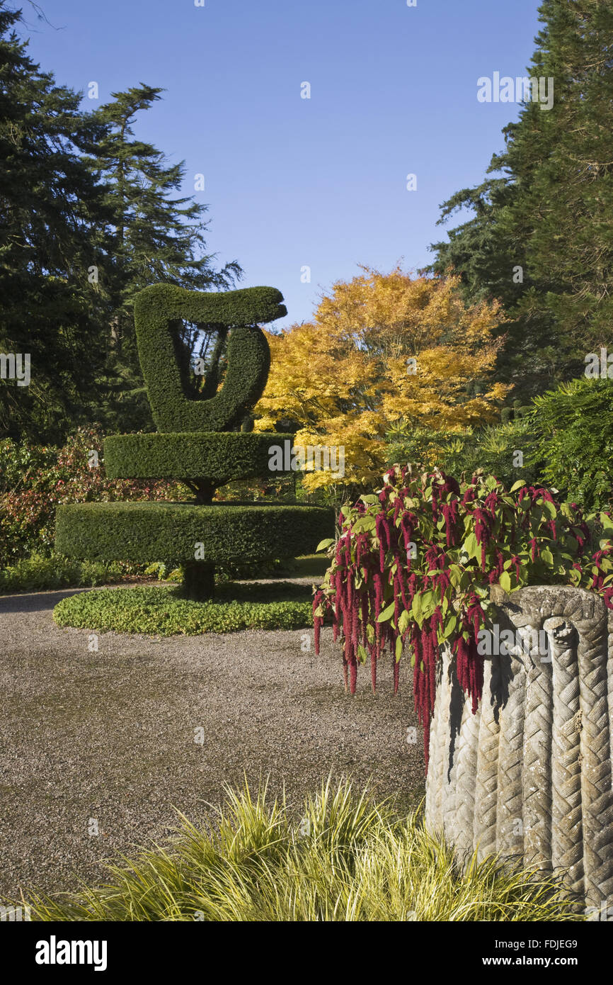 Topiary yew tree in the shape of an Irish harp in the Shamrock Garden at Mount Stewart, County Down, Northern Ireland. Edith, Lady Londonderry created the garden in the 1920s. Stock Photo