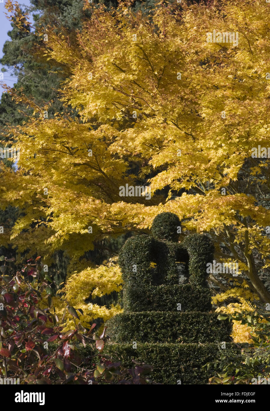 Topiary entrance pillar topped with a crown in the Shamrock Garden at