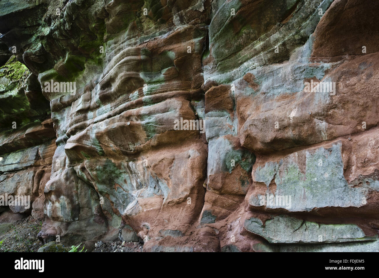 Close view of the rocky geological feature in the garden which was created in the late eighteenth century by Samuel Greg, the mill owner, and his wife Hannah, to complement their house. The garden follows the valley of the Bollin river and is part of the Stock Photo
