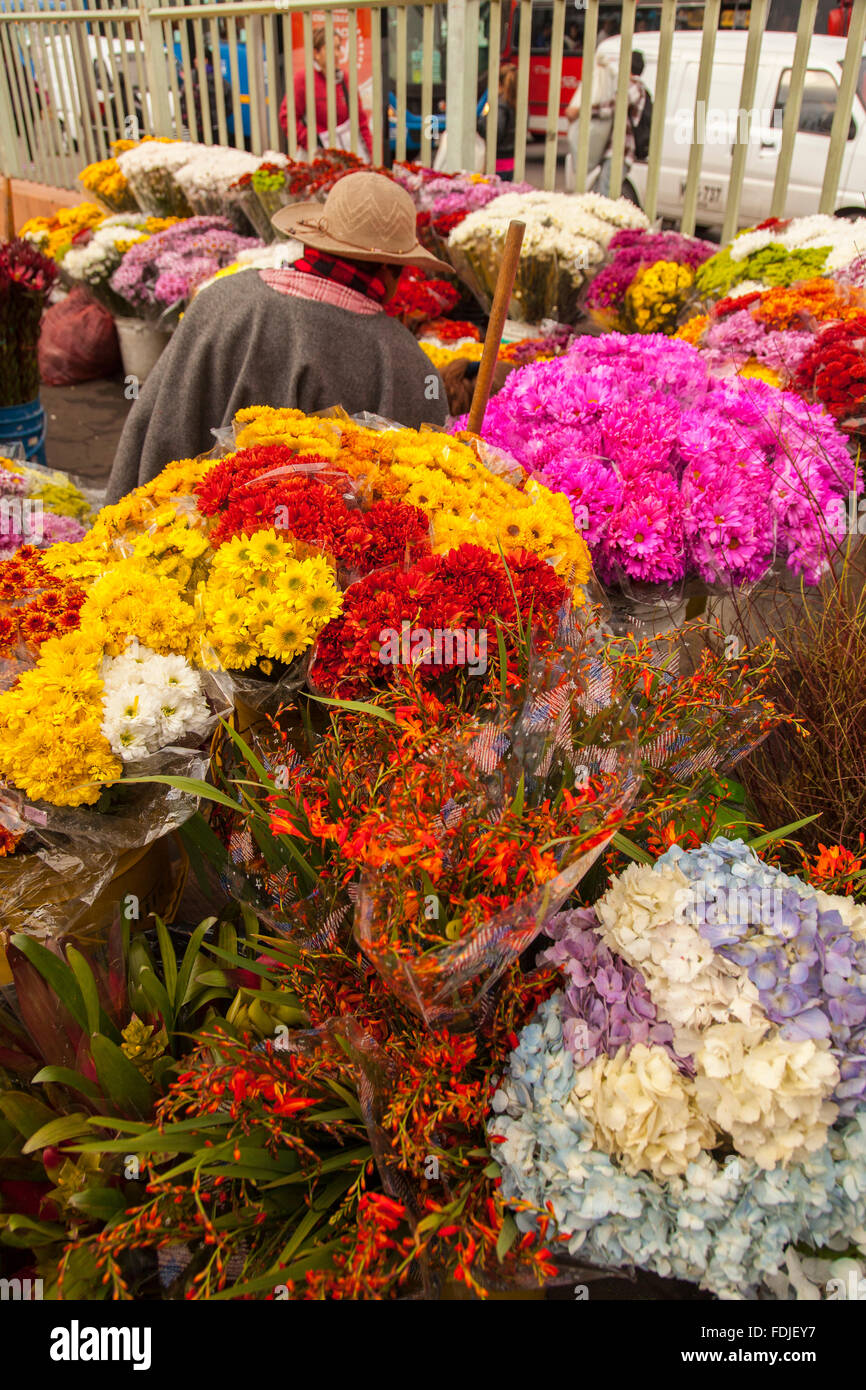 Flowers at Paloquemao farmers flower market in Bogota, Colombia, South