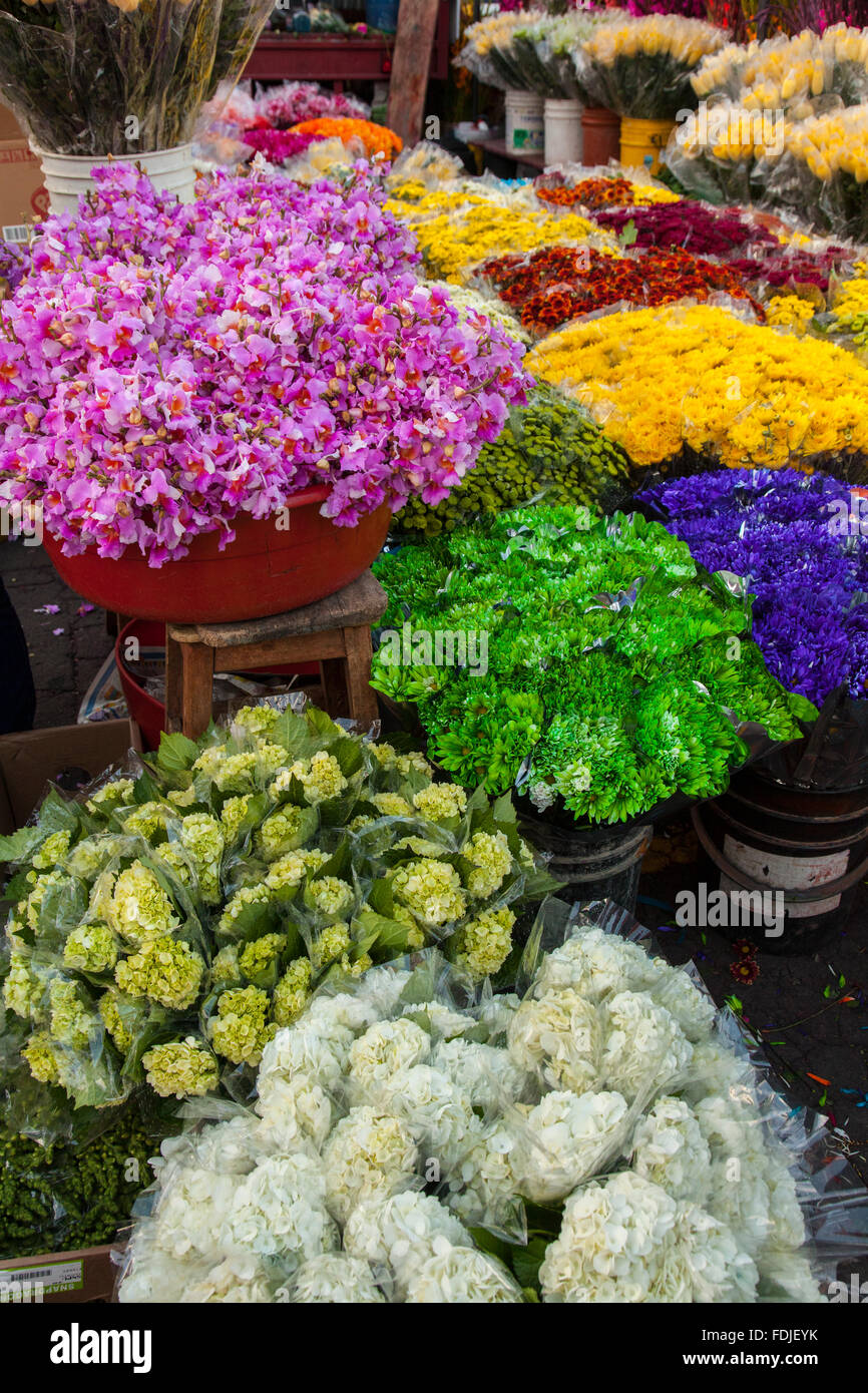 Bogota Flower Market High Resolution Stock Photography and Images Alamy
