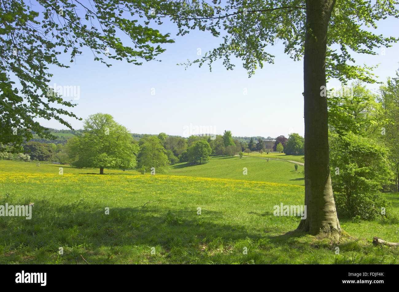 The parkland at Basildon Park, built 1776-83 by John Carr for Francis ...
