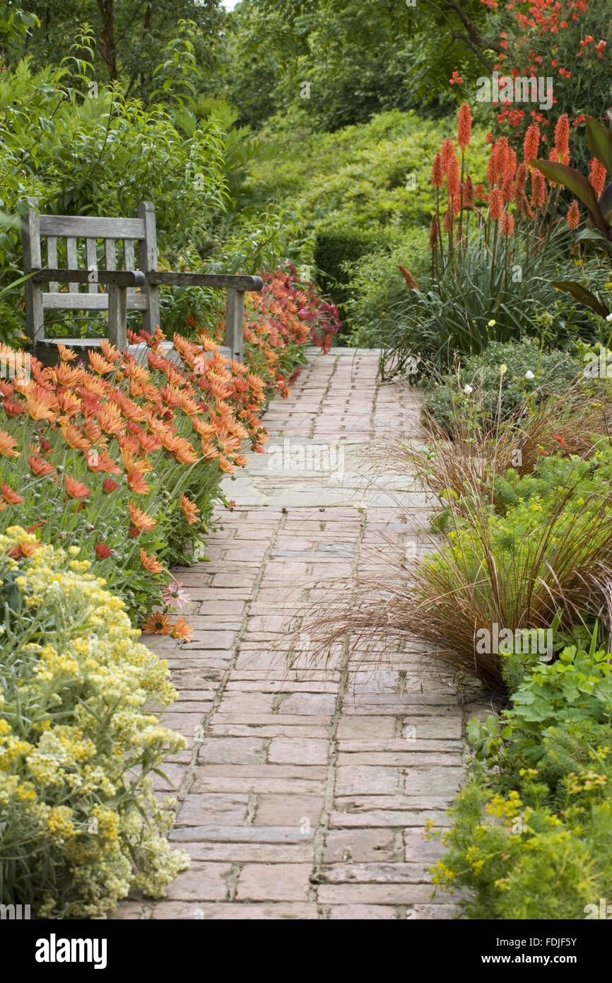 Path And Bench In The Cottage Garden With Arctotis X Hybrida