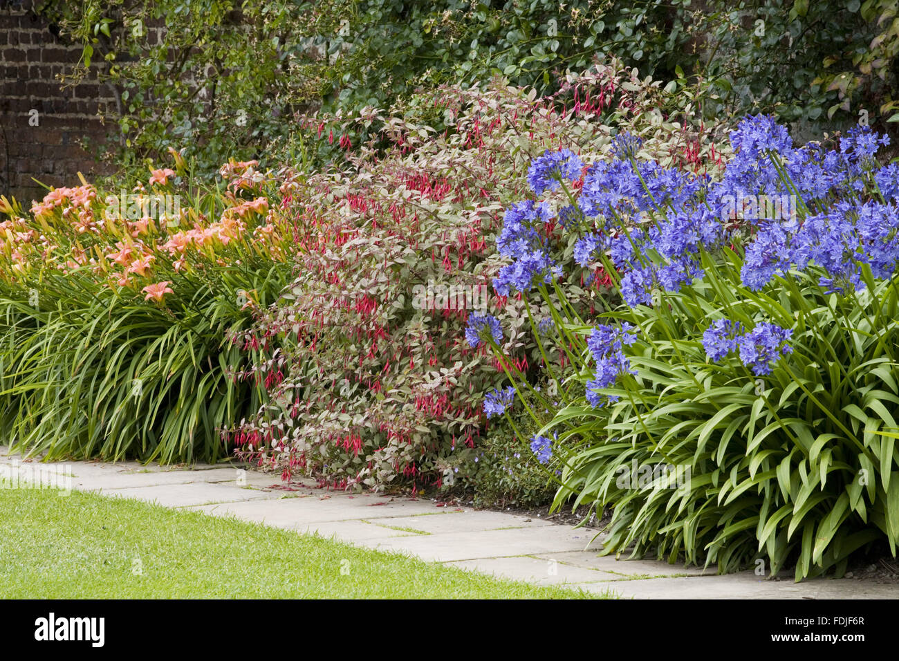 Hemerocallis 'Pink Damask', Fuchsia magellanica 'Variegata' and Agapanthus hardy hybrid in a boder in July at Sissinghurst Castle Garden, near Cranbrook, Kent. Stock Photo