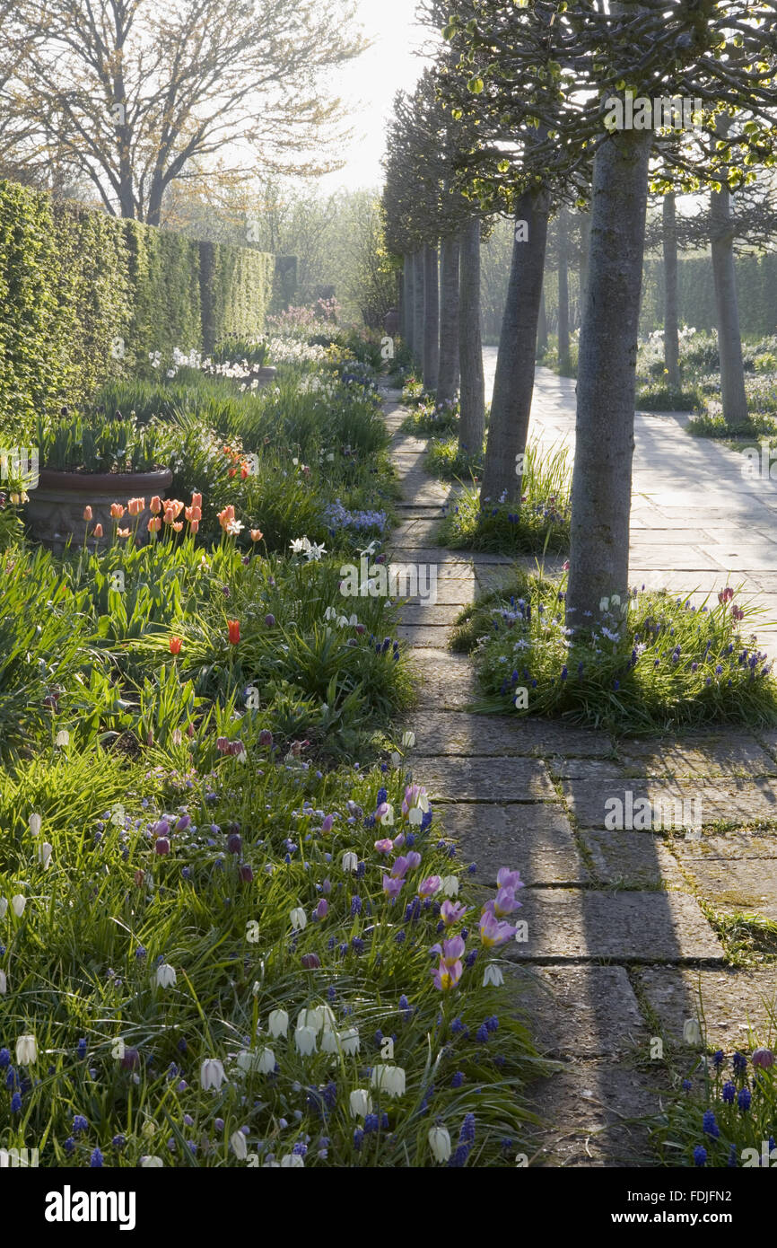 Sissinghurst Spring Garden sissinghurst castle lime walk hi-res stock photography and ...