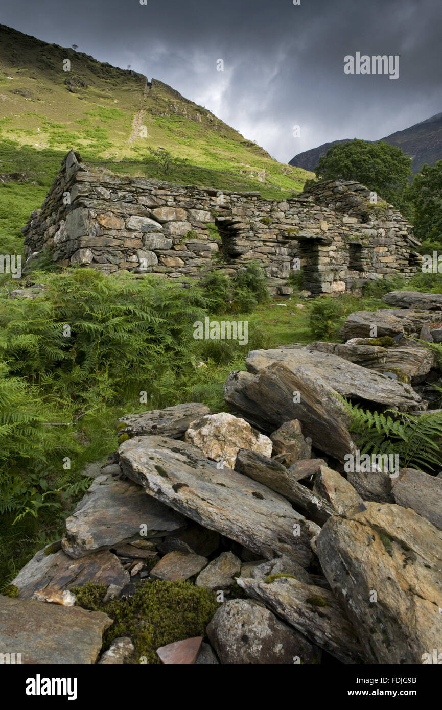 A ruined mine building with Clogwyn Brith beyond with the incline notch still visible on Hafod Y Llan farm, Snowdonia, Wales. The Cwm Erch copper mine was working from the seventeenth century until the early twentieth century, and was designated a Schedul Stock Photo