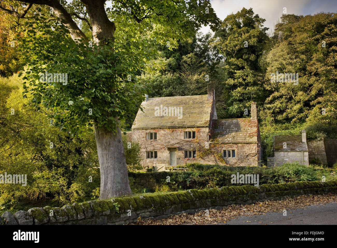 An autumnal view of Fountains Cottage in the grounds of Fountains Abbey