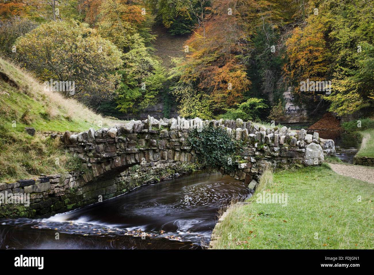 Part of the Seven Bridges Walk at Studley Royal Water Gardens