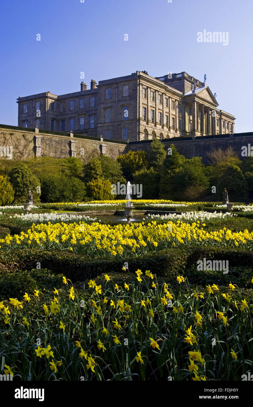 Looking over the early eighteenth century Dutch Garden in spring with daffodils in bloom towards the house at Lyme Park, Cheshire. The house which was originally Elizabethan was transformed by Giacomo Leoni in the early eighteenth century. Stock Photo