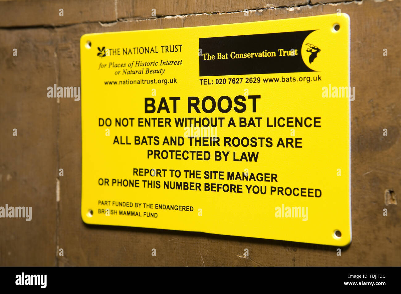Bat roost warning sign in the cellar at Petworth House, West Sussex. Stock Photo