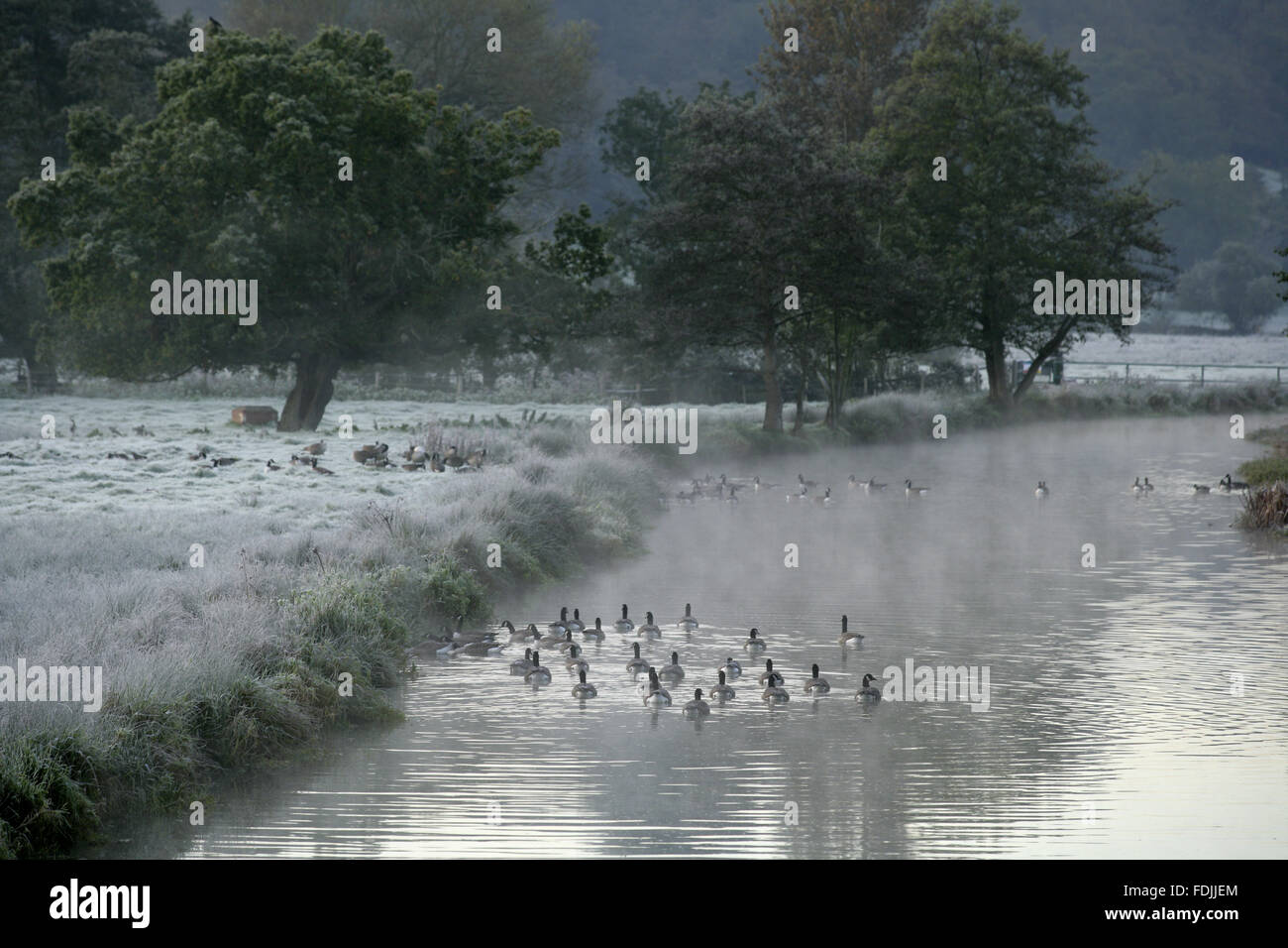 A frosty winter scene at the River Wey Navigations, Surrey. Stock Photo