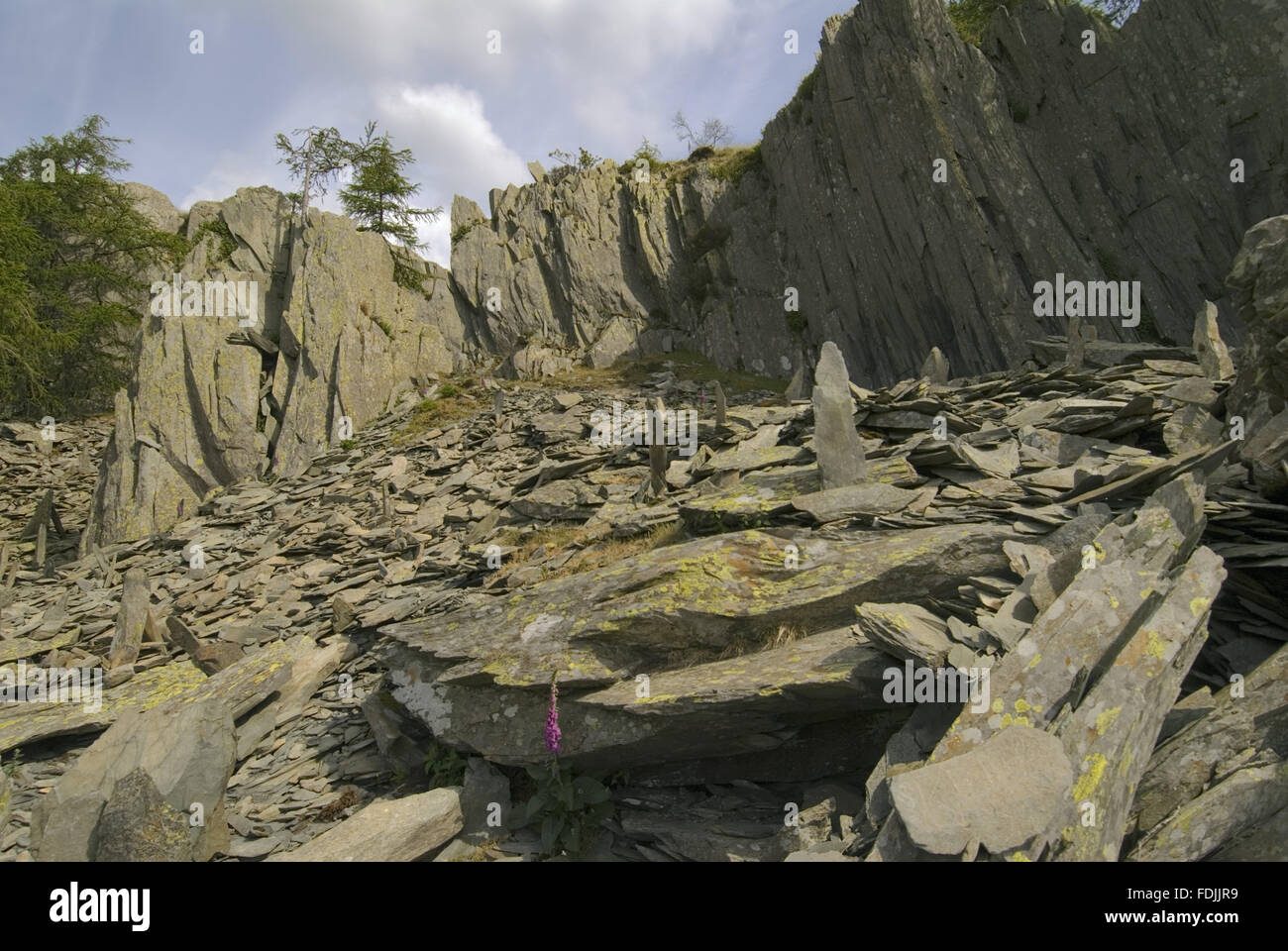 The old slate quarry near the summit of Castle Crag, Cumbria Stock