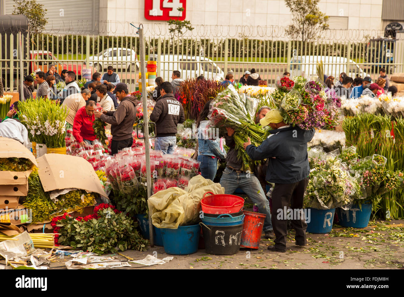 Flowers at Paloquemao farmers flower market in Bogota, Colombia, South