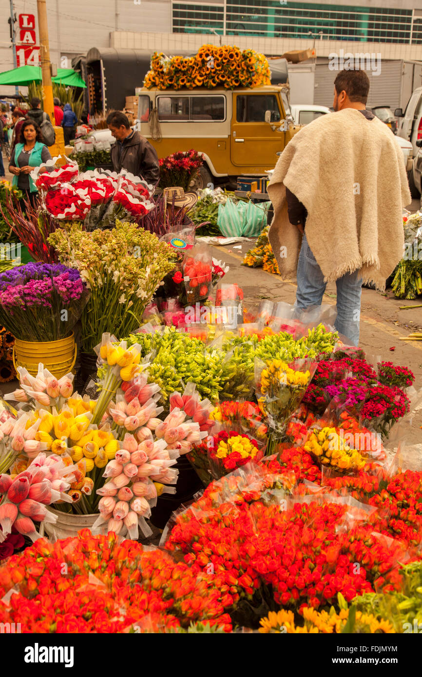 Flowers at Paloquemao farmers flower market in Bogota, Colombia, South ...