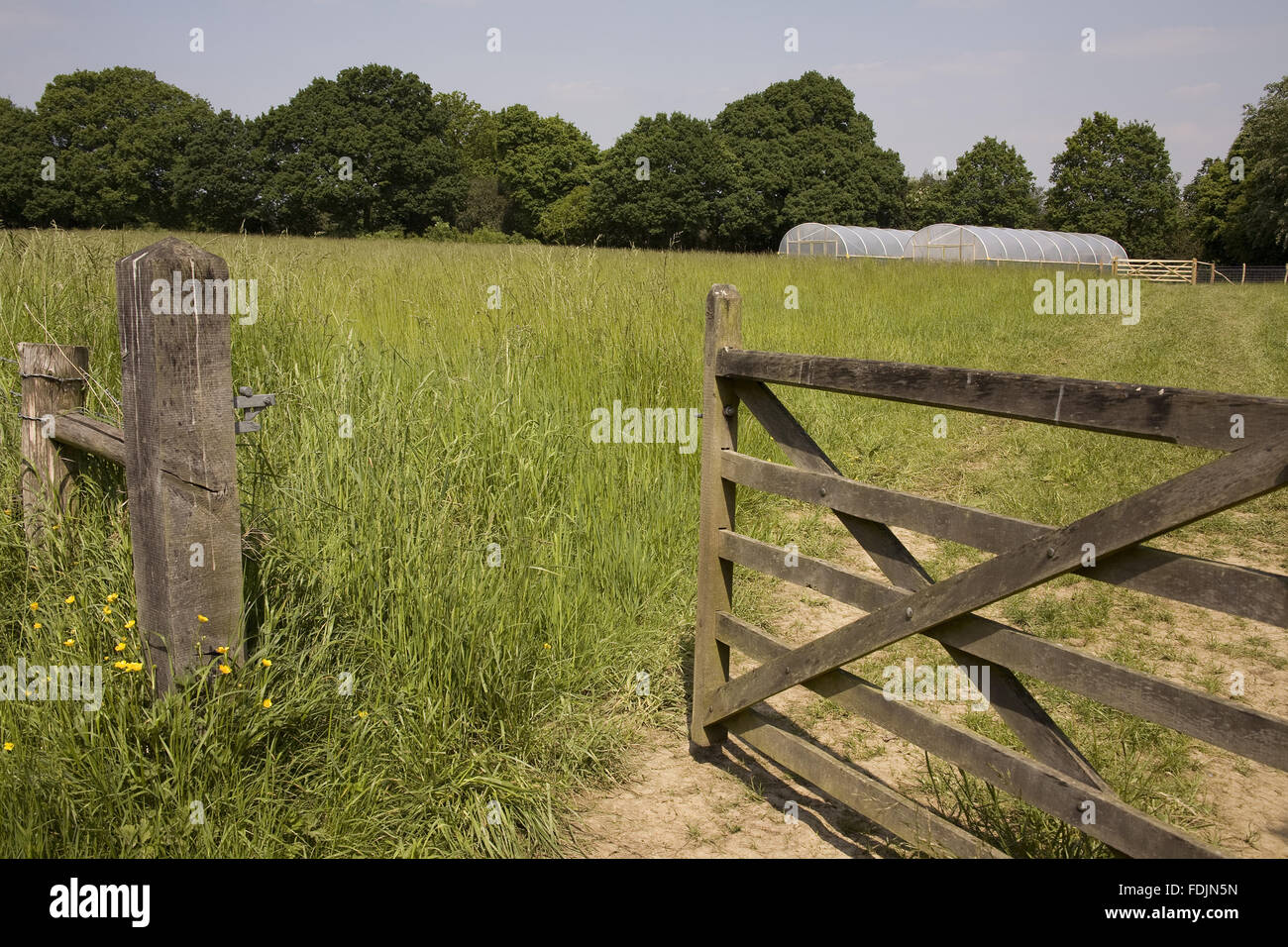 A view of farmland which will be redeveloped at Sissinghurst Castle, Kent. This project aims to reconnect the garden with the landscape in the form of creating a modern, organic, mixed Wealden farm, much as it would have been in 1930 when the Nicolsons bo Stock Photo