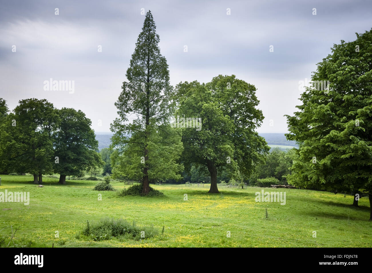 0002bableith hires stock photography and images Alamy