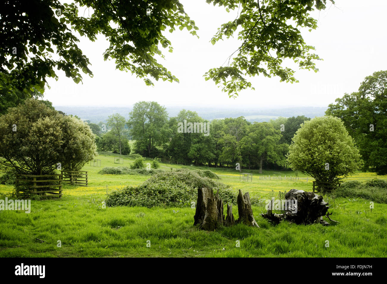 0019ableith hires stock photography and images Alamy