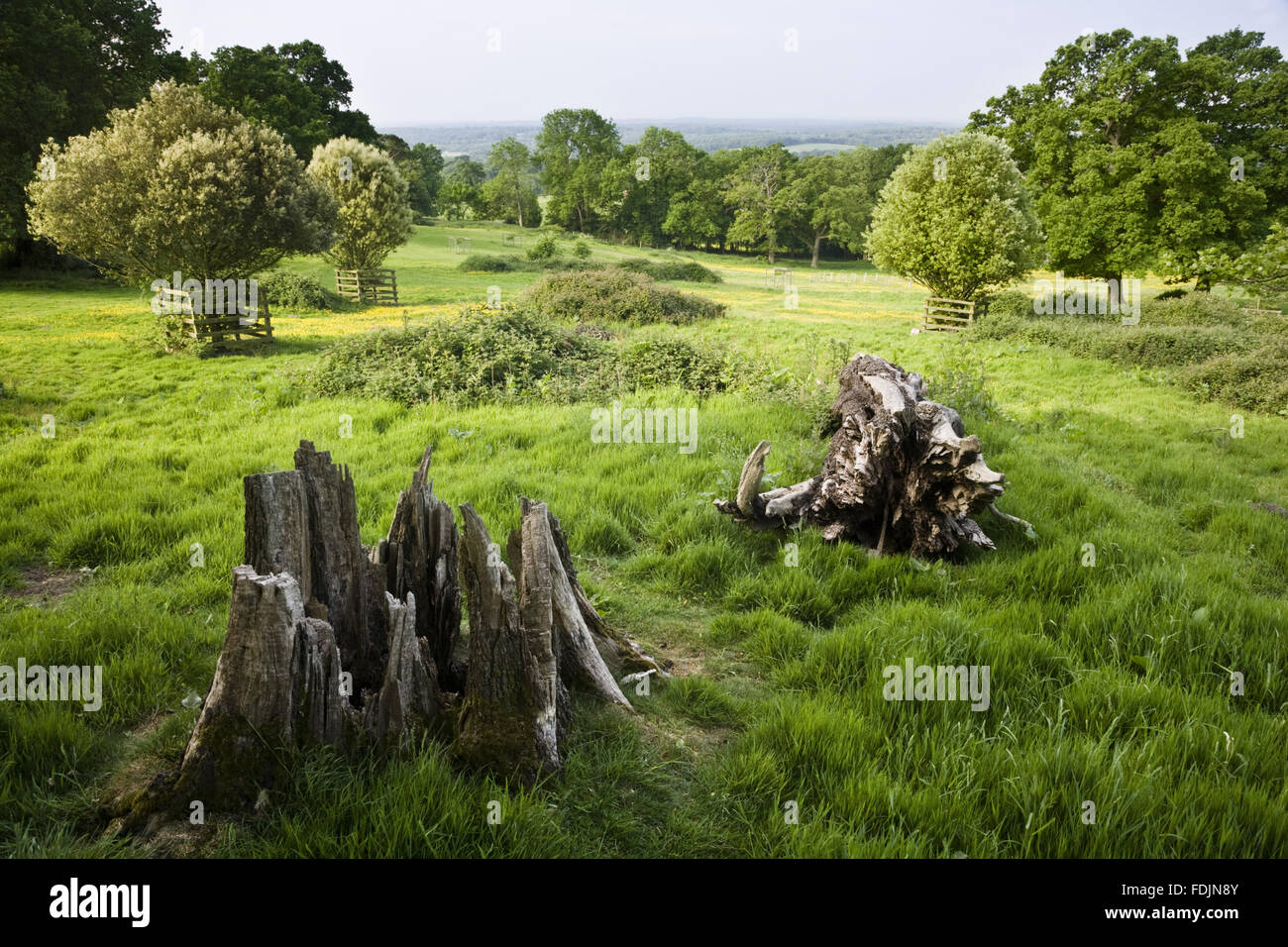 Leith hill place surrey hires stock photography and images Alamy