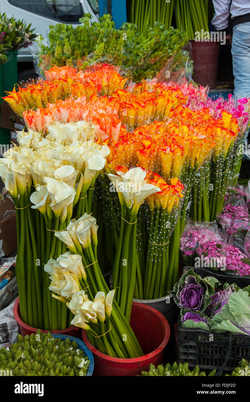 Flowers at Paloquemao farmers flower market in Bogota, Colombia, South