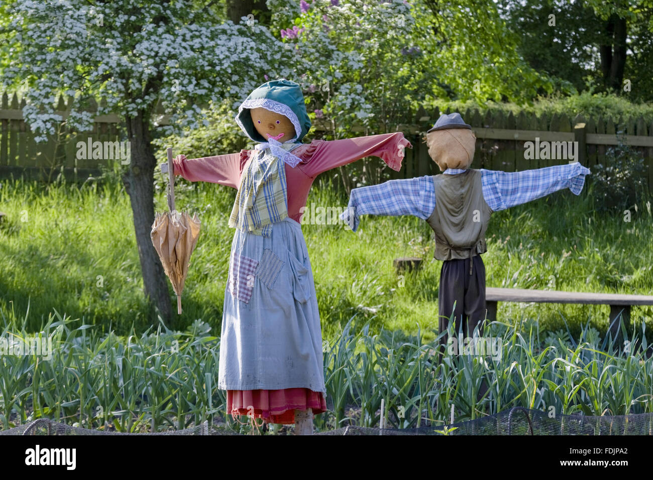 Scarecrows in the Apprentice House garden in May which is part of the Quarry Bank Mill and Styal Estate, Wilmslow, Cheshire. Pauper children lived in the Apprentice House and worked in the cotton mill in the late eighteenth century and were able to grow t Stock Photo