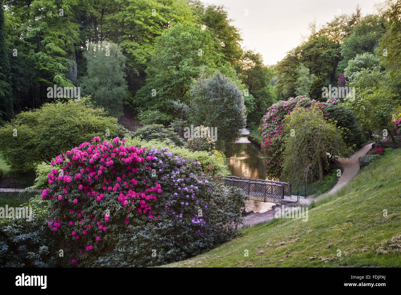 The river and valley-setting of the garden which was created in the late eighteenth century by Samuel Greg, the mill owner, and his wife Hannah, to complement their house. The garden follows the valley of the Bollin river and is part of the Quarry Bank Mi Stock Photo