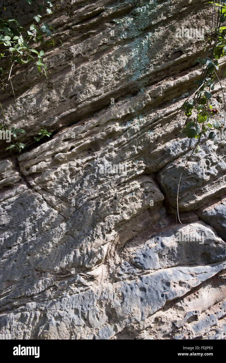 Close view of the rocky geological feature in the garden at Quarry Bank ...