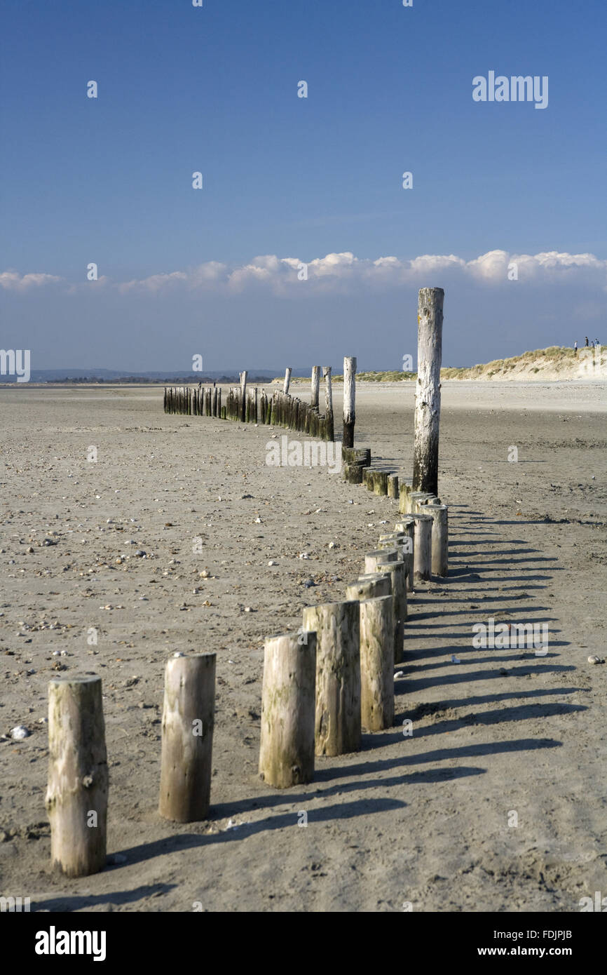 Wooden piles driven into the beach at East Head, West Wittering, on the
