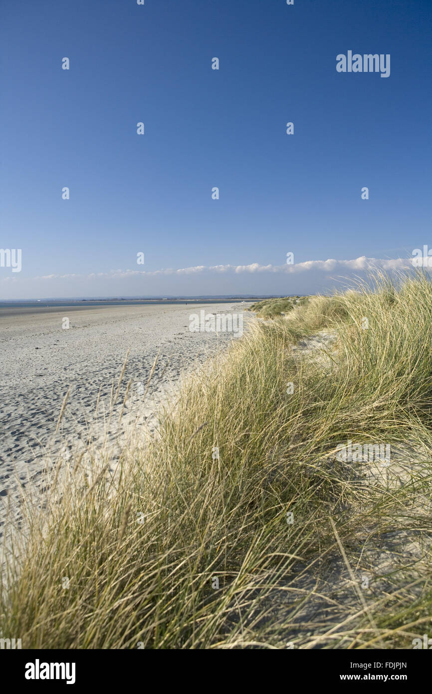 Long, sandy beach and dunes at East Head, West Wittering, on the