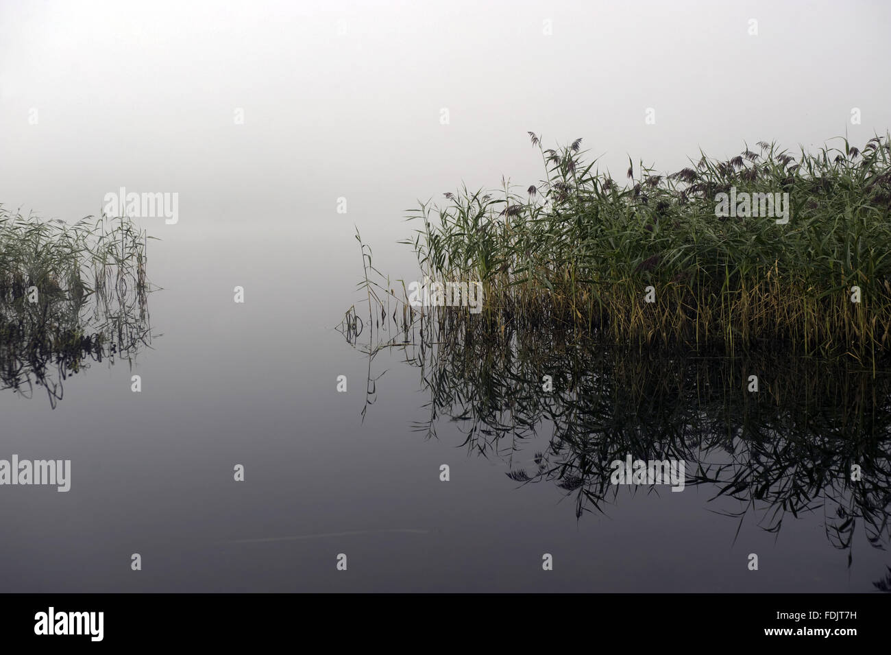 Misty view across Lough Erne at Crom, Co. Fermanagh, Northern Ireland. Stock Photo