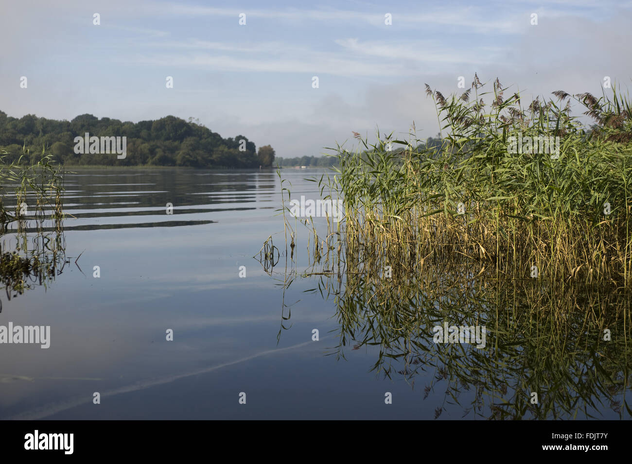 The calm waters of Lough Erne and reeds at Crom, Co. Fermanagh, Northern Ireland. Stock Photo