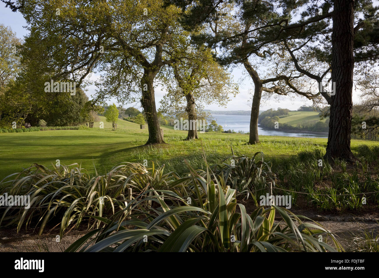 The view from the Tennis Lawn at Trelissick Garden, Cornwall, in May. Stock Photo