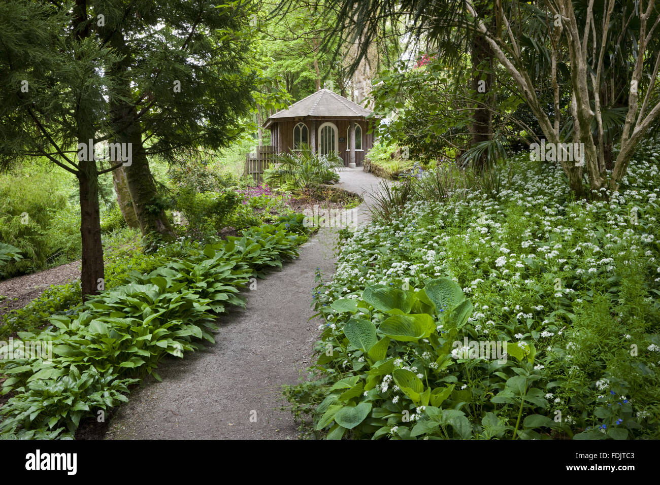 The new entrance and landscaping at Trelissick Garden, Cornwall, in May. Stock Photo