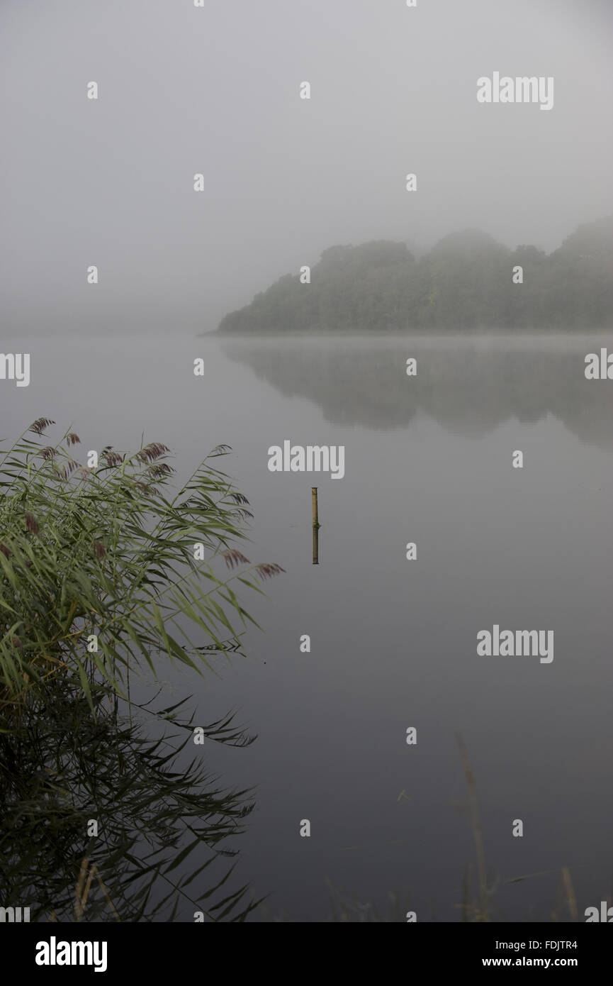 Misty view across Lough Erne at Crom, Co. Fermanagh, Northern Ireland. Stock Photo