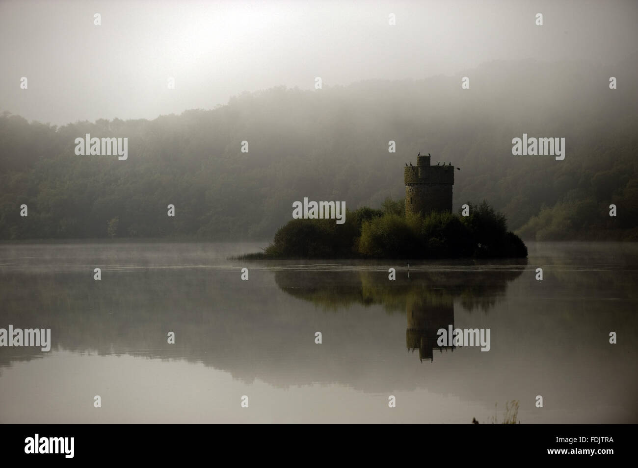 A misty view towards Crichton Tower on Gad Island in Lough Erne at Crom, Co. Fermanagh, Northern Ireland. Stock Photo