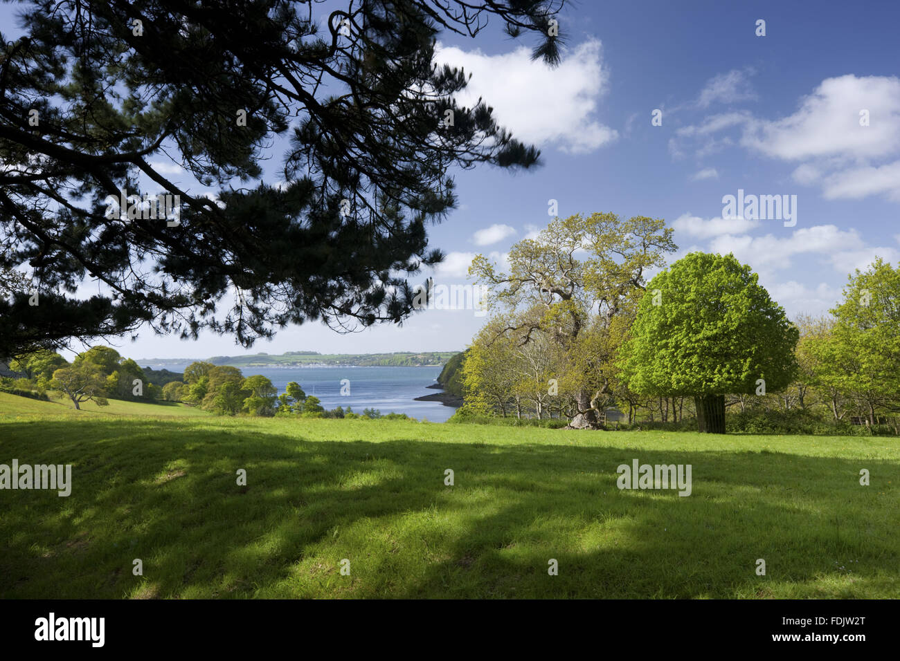 The view south from Trelissick Garden, Cornwall, in May, towards the Carrick Roads. Stock Photo