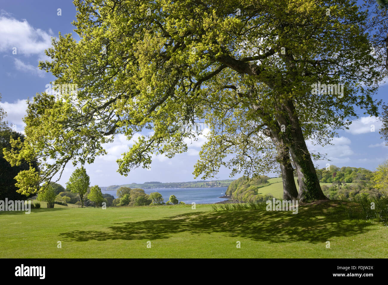 The Tennis Lawn at Trelissick Garden, Cornwall, in May. Stock Photo