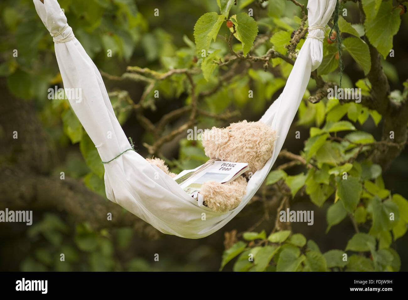 Teddy bear relaxing in a hammock with a newspaper, in the garden at Melford Hall, Suffolk Stock