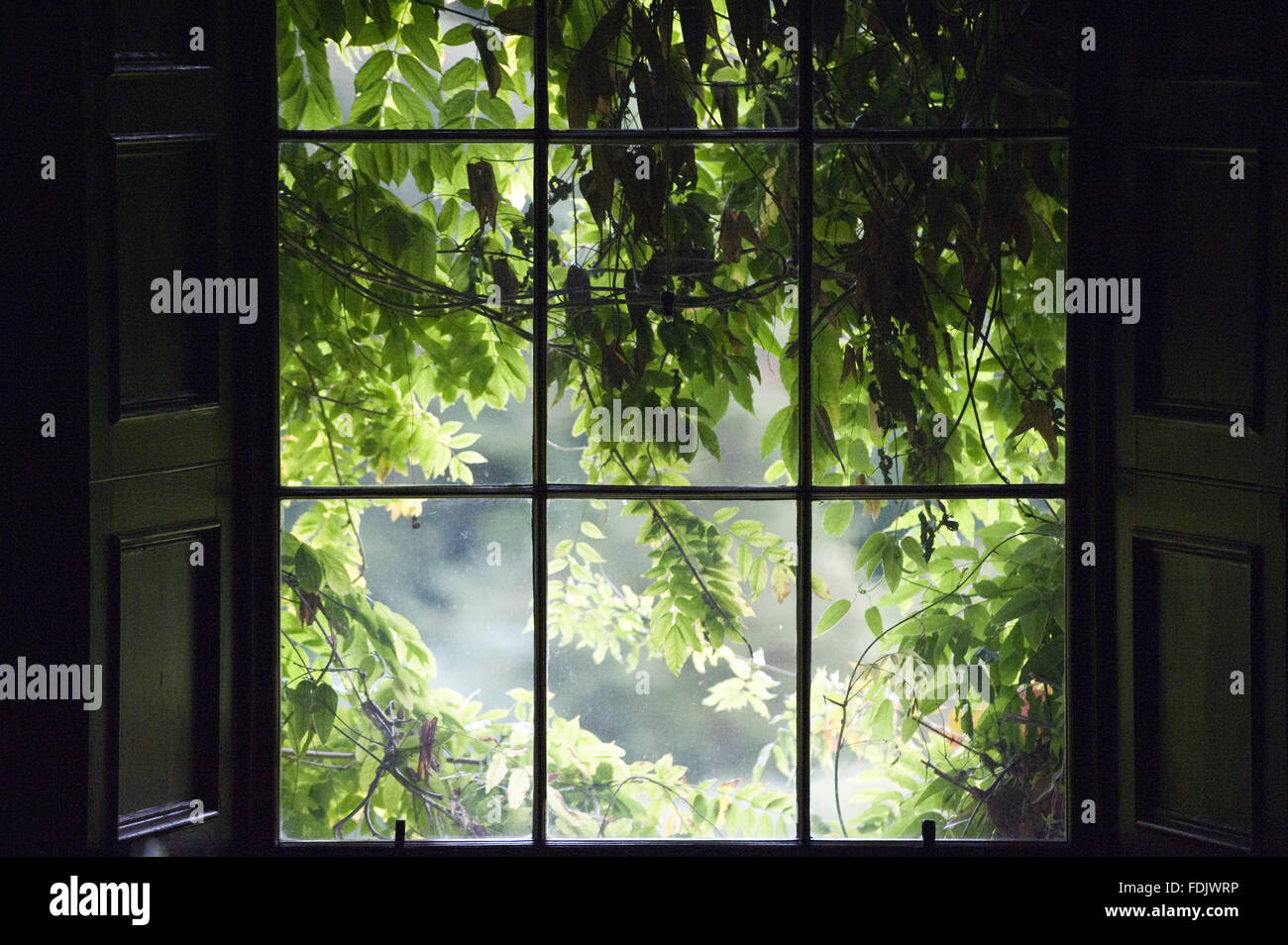 Framing view hires stock photography and images Alamy