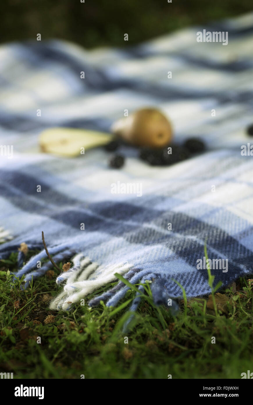 Blanket woven in Wales available from National Trust shops Stock Photo Alamy