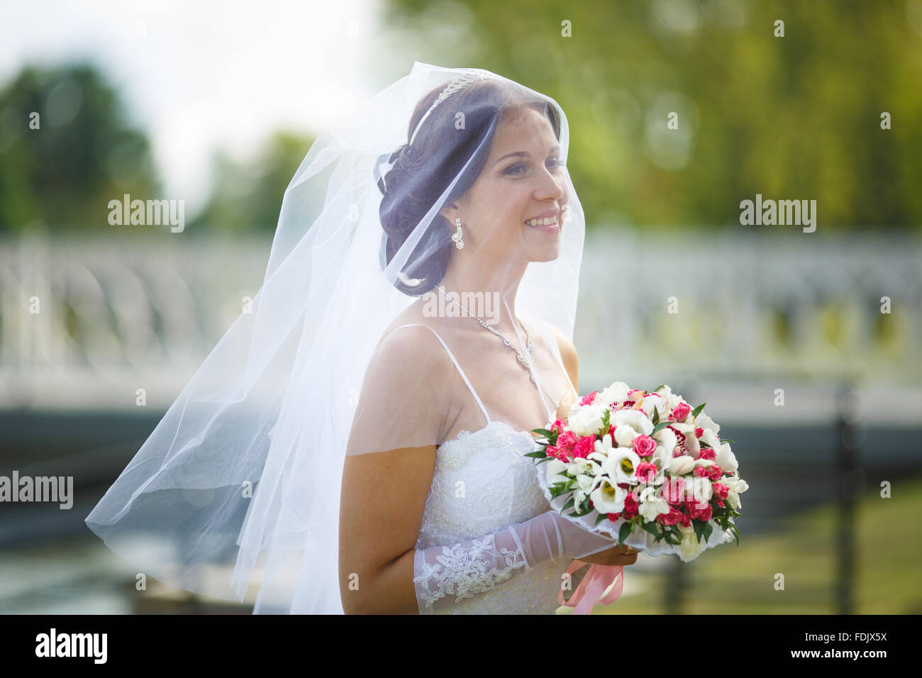 Portrait of a bride covered with veil on her wedding day Stock Photo ...