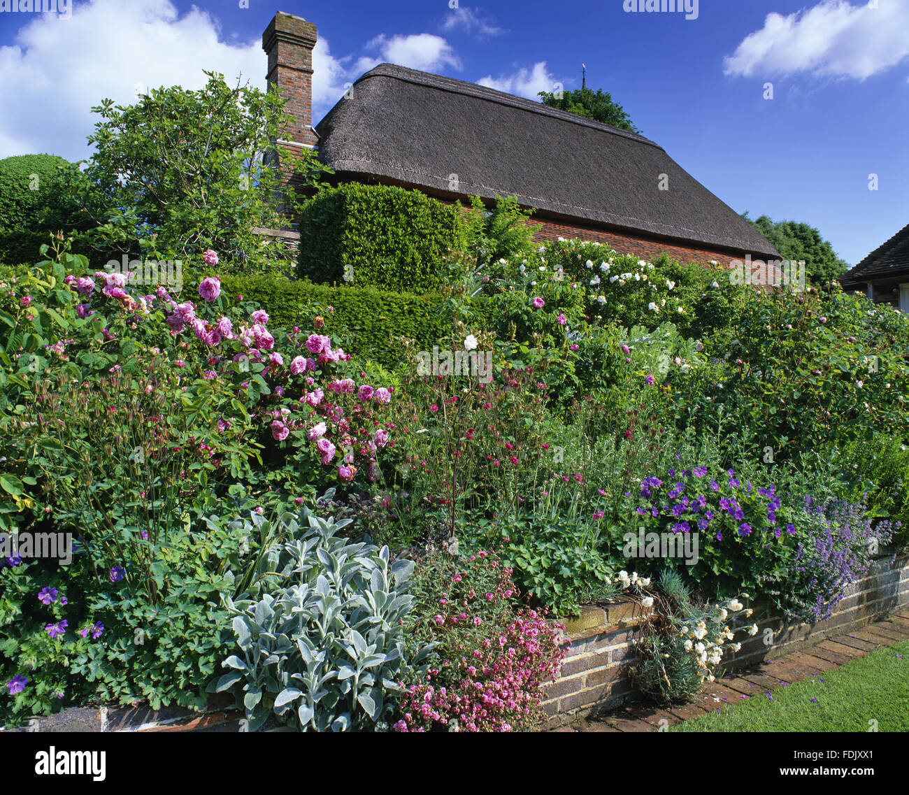 Looking over the raised bank of planting in the garden towards Alfriston Clergy House, East Sussex.  It was the first building to be acquired by The National Trust, in 1896. Stock Photo